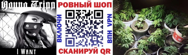 Виды наркотиков купить Нальчик Амфетамин  Псилоцибиновые грибы  Конопля  Меф мяу мяу  Cocaine  А ПВП 
