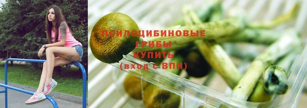 a pvp Бородино