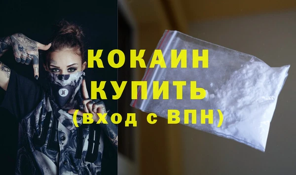a pvp Бородино