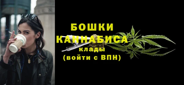 a pvp Бородино
