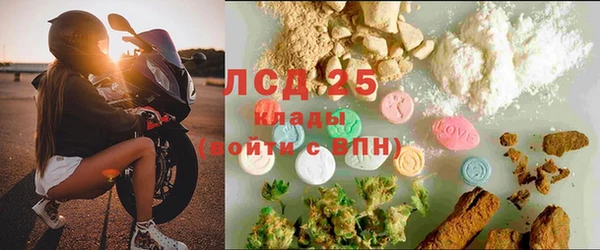 a pvp Бородино