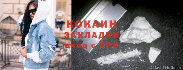 a pvp Бородино